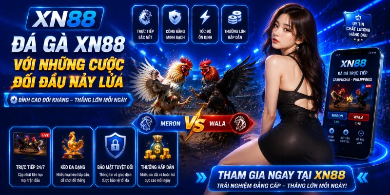 Đá gà xn88 với những cuộc đối đầu nảy lửa